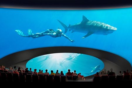 Skip the Line: Aquarium of the Pacific General Admission Ticket