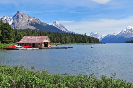 Jasper Wildlife and Sightseeing Tour with Maligne Lake Hike