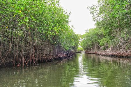Private Tour of Ecotourism, Culture and Sea in Barú 