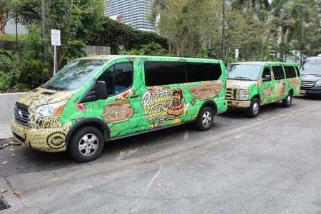 Everglades & Miami city tour with experienced guide