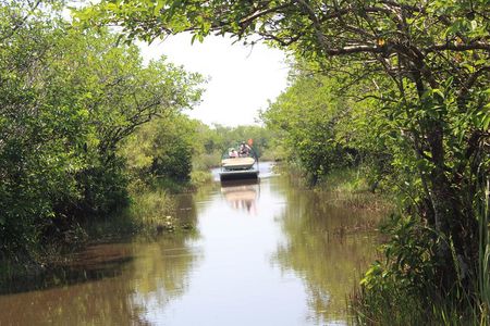 Everglades & Miami city tour with experienced guide