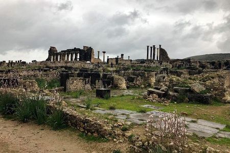 Fes to volubilis and meknes day trip