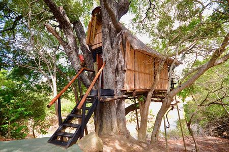 4 Day Lodge and Treehouse Kruger National Park Safari
