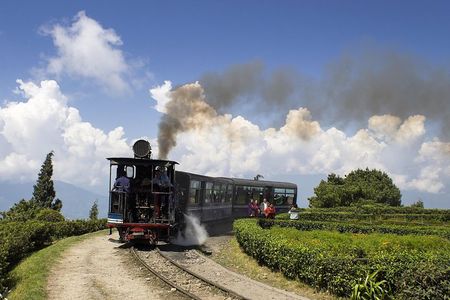 Eastern Himalaya (Darjeeling, Pelling, Gangtok & Kalimpong) 