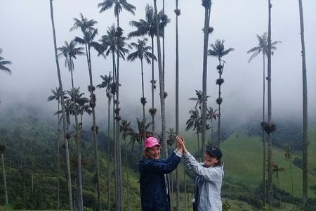 Full-Day Private Coffee Tour in Cocora Valley and Salento