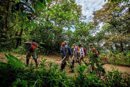 Private Mindo Cloud Forest Tour from Quito