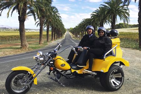 Unique Trike Barossa Valley Half Day Private Tour For 2