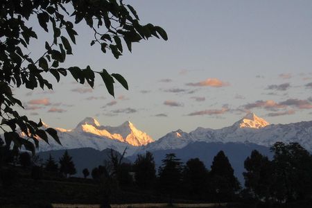 Binsar Sanctuary Walking Holiday