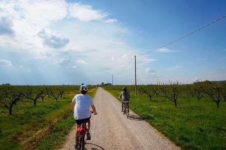 E-bike adventure among medieval castles and old villages
