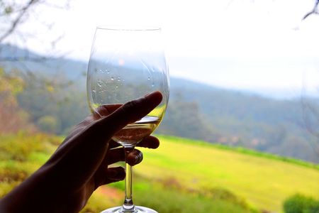 Cape Winelands and Wine Tasting Full Day Tour