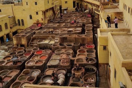 Day tour of Fes