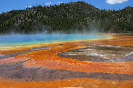 Yellowstone National Park - PRIVATE Full-Day Lower Loop Tour from Jackson Hole