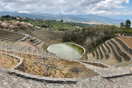 Etna tour 4x4 & Wine Experience in a farm