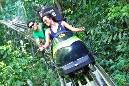 Jamaica Bobsled & Dunn's River Falls Adventure Tour from Runaway Bay