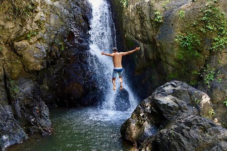 Full-Day El Yunque Rainforest Hike with Waterslide from San Juan