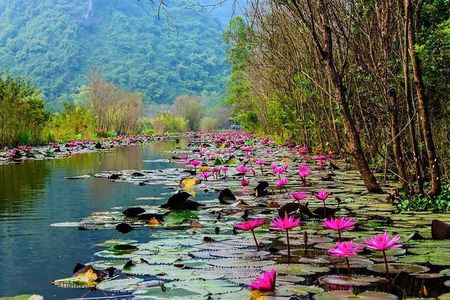 Full-Day Perfume Pagoda Small-Group Tour