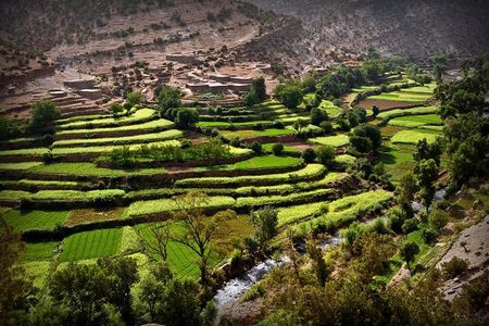 Private excursion to the Ourika Valley from Marrakech