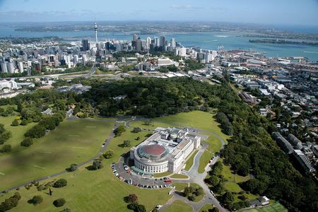 Auckland Shore Excursion: Half-Day Guided City Tour