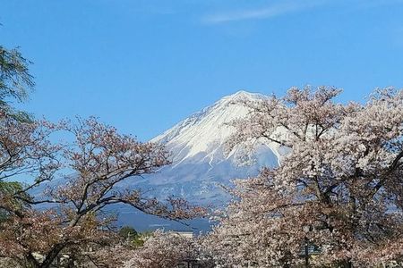 Mt.Fuji Chartered Taxi Tour