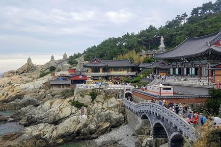 Busan Shore Excursion; Private City Tour