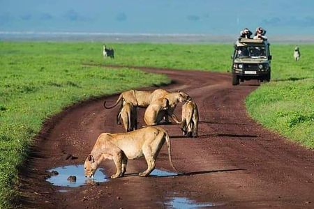 Serengeti national Park, ngorongoro conservation area 3 days two nights