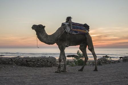 Essaouira Small Peaceful Romantic and Traditional Town