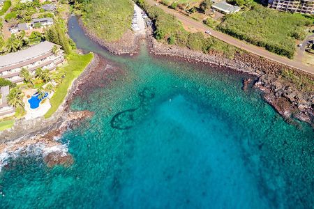 Kauai's Ultimate South Shore 2 Tank Dive (Certified Divers Only)