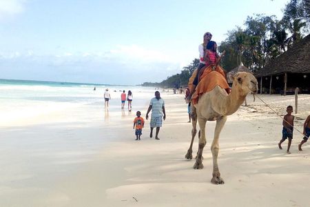 7 Days Holiday Vacation In Diani 