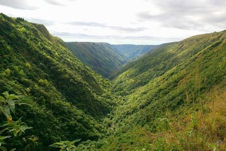 Shillong Day Tour from Guwahati with Lunch