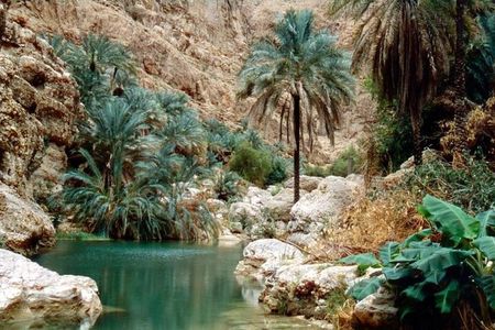 Wadi Shab & Bimmah Sinkhole 