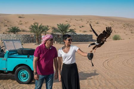 Morning Falconry & Nature Desert Safari with Transfers from Dubai