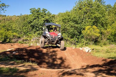 Self-drive Off Road Buggy