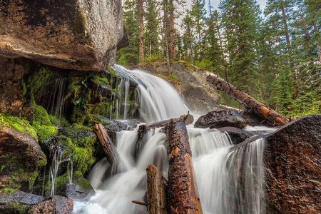 Explore & Photograph Wild Basin in Rocky Mountain National Park with a Pro