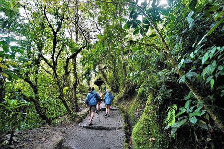 Private Day Tour to Mindo - Waterfalls & Hummingbirds