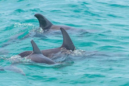 Sian Ka'an Adventure Full Day Trip to Punta Allen