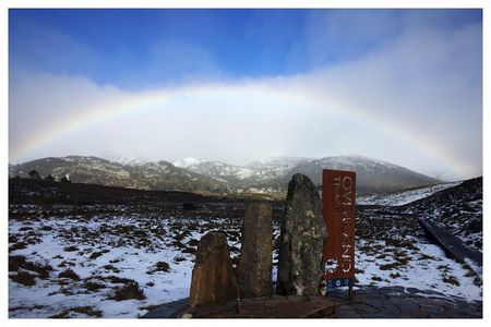 Cradle Mountain Day Tour from Launceston Including Lunch