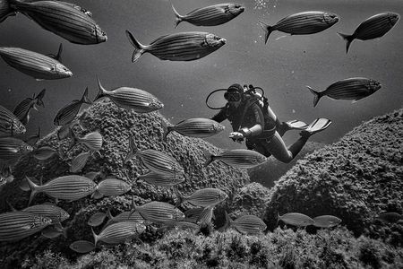 Package of 2 double dives in the Capo Carbonara Marine Protected Area