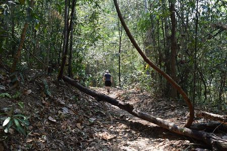 Half Day Doi Suthep Temple and short trekking on monk trail (Private Tour)