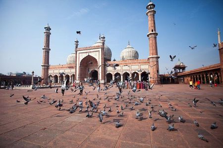 Delhi Full Day Including Old and New Delhi Private Tour