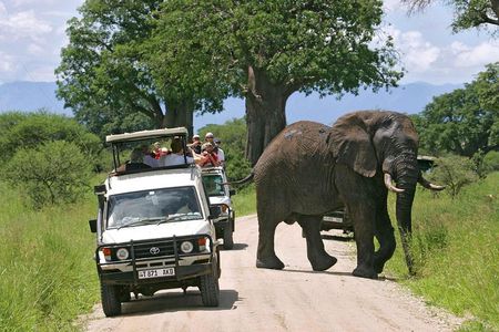 4 Days 3 nights Tanzania Classic Lodge Safari Tarangire, Lake Manyara,Ngorongoro