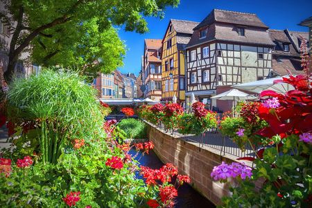 Colmar, Medieval Village & Castle Small Group from Strasbourg