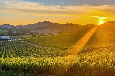 Private Wine Country Tour Including Photography Services