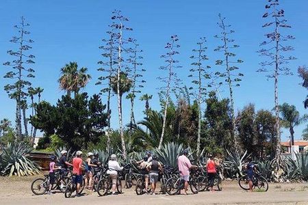 Electric Bike Tour of La Jolla and Pacific Beach