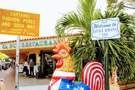 Private Miami City Tour and Shared Boat Tour Combo