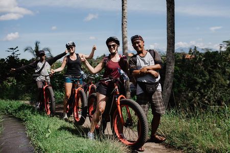 Private Fat Tire E-Bike Tour in Ubud