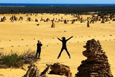 Pinnacles Desert Private Day Tour