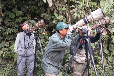 Birding Tour