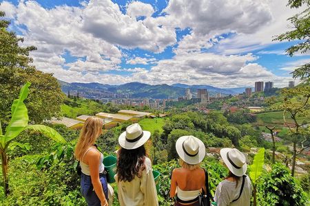 Coffee & Horses Private Tour in Medellin: A Fun & Authentic Day