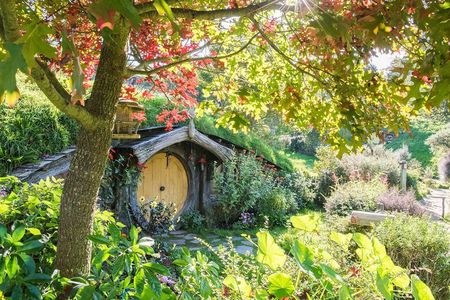 Tauranga to Magical Hobbiton Movie Set - Private Shore Excursion.