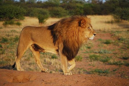 Day Tours In Nairobi